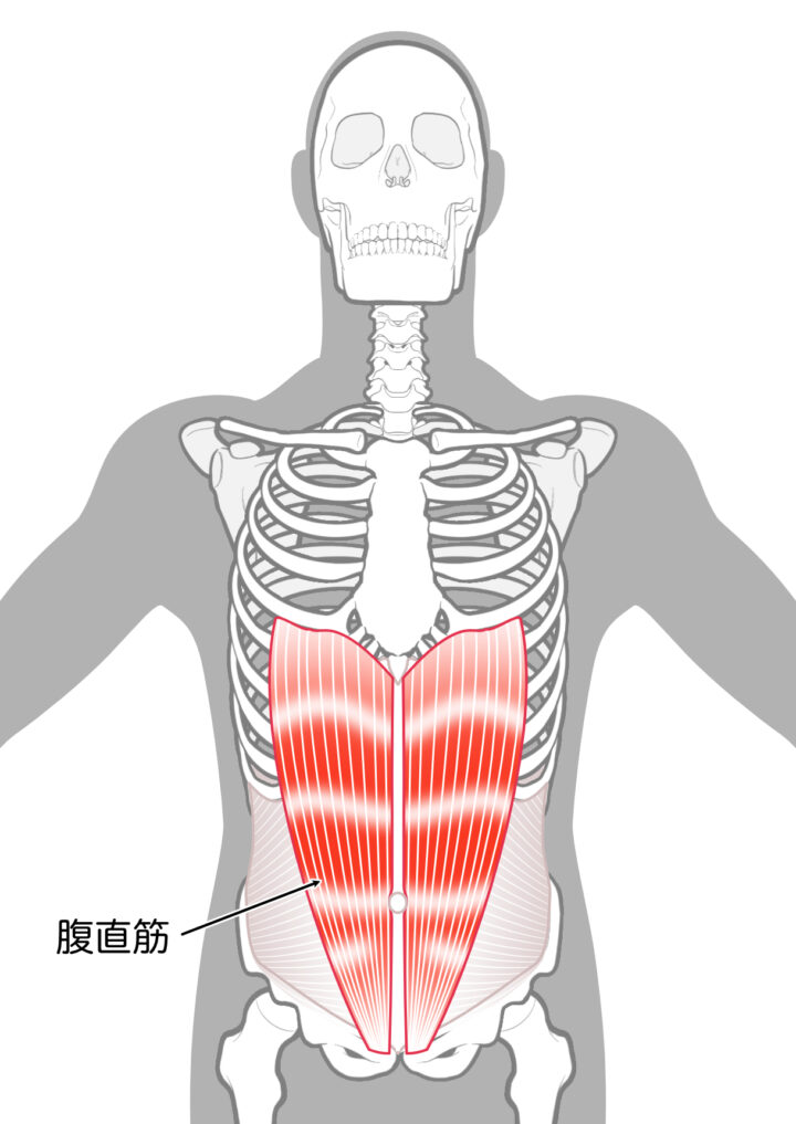 腹筋