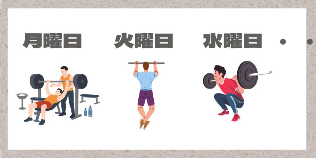 曜日ごとの筋トレイラスト