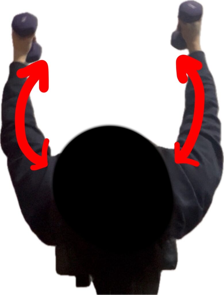 ダンベルフライのダンベルを上げる動作の写真