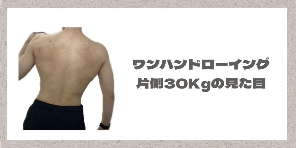 ワンハンドローイング30Kgの見た目の写真