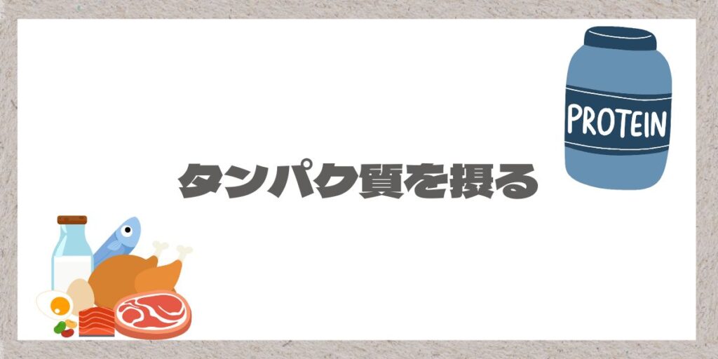 食材とプロテインのイラストと文字