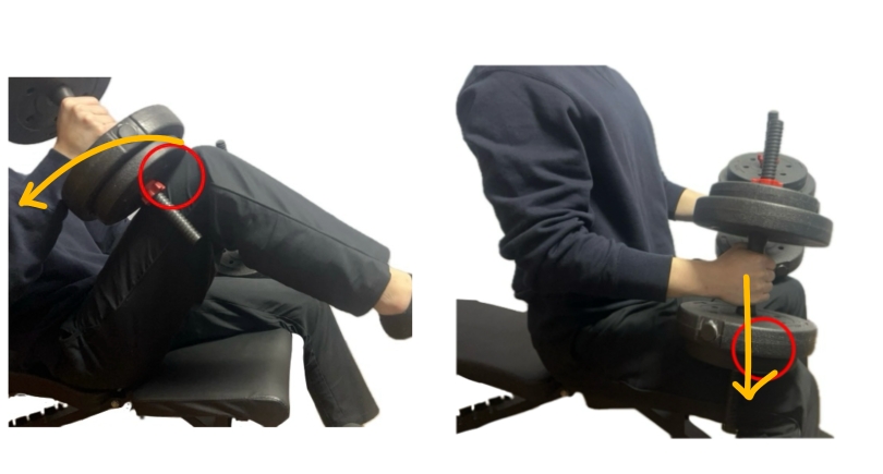 オンザニーの解説写真