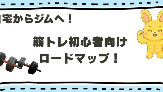 筋トレ初心者向けロードマプと書かれた画像