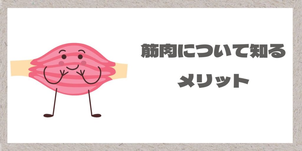 筋肉について知るメリットをイメージ
