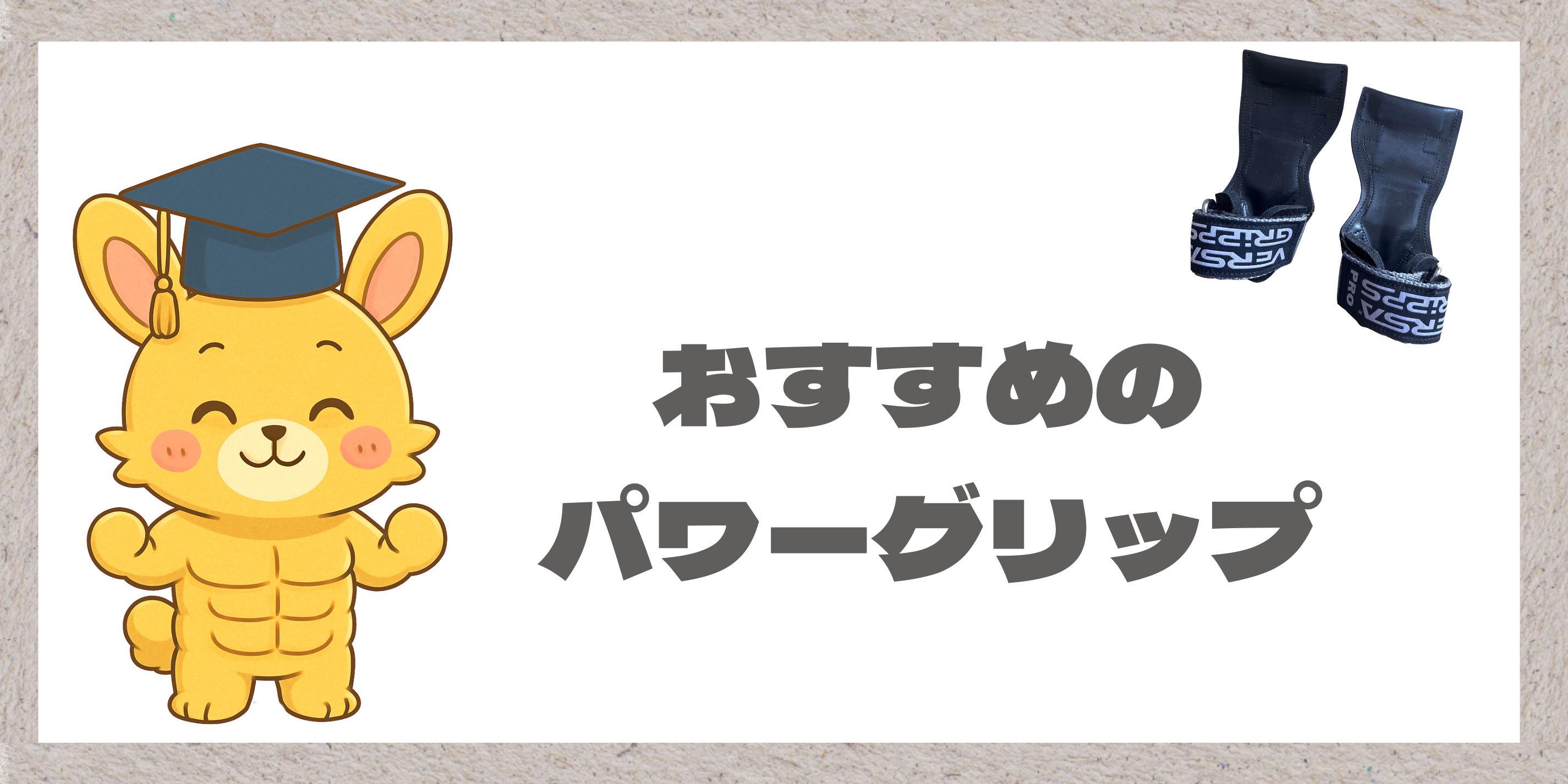 おすすめパワーグリップの紹介画像