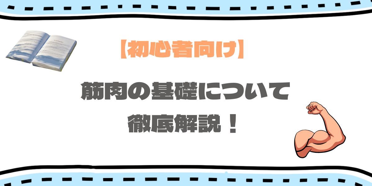 筋肉の基礎を示す画像